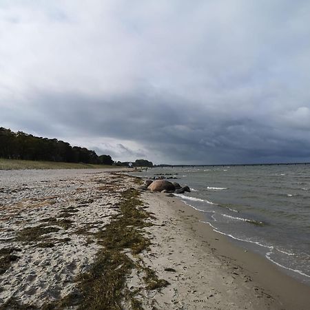 Lodmannshagen Ferienwohnungen "Weitblick" Und "Schwalbennest" חדר תמונה