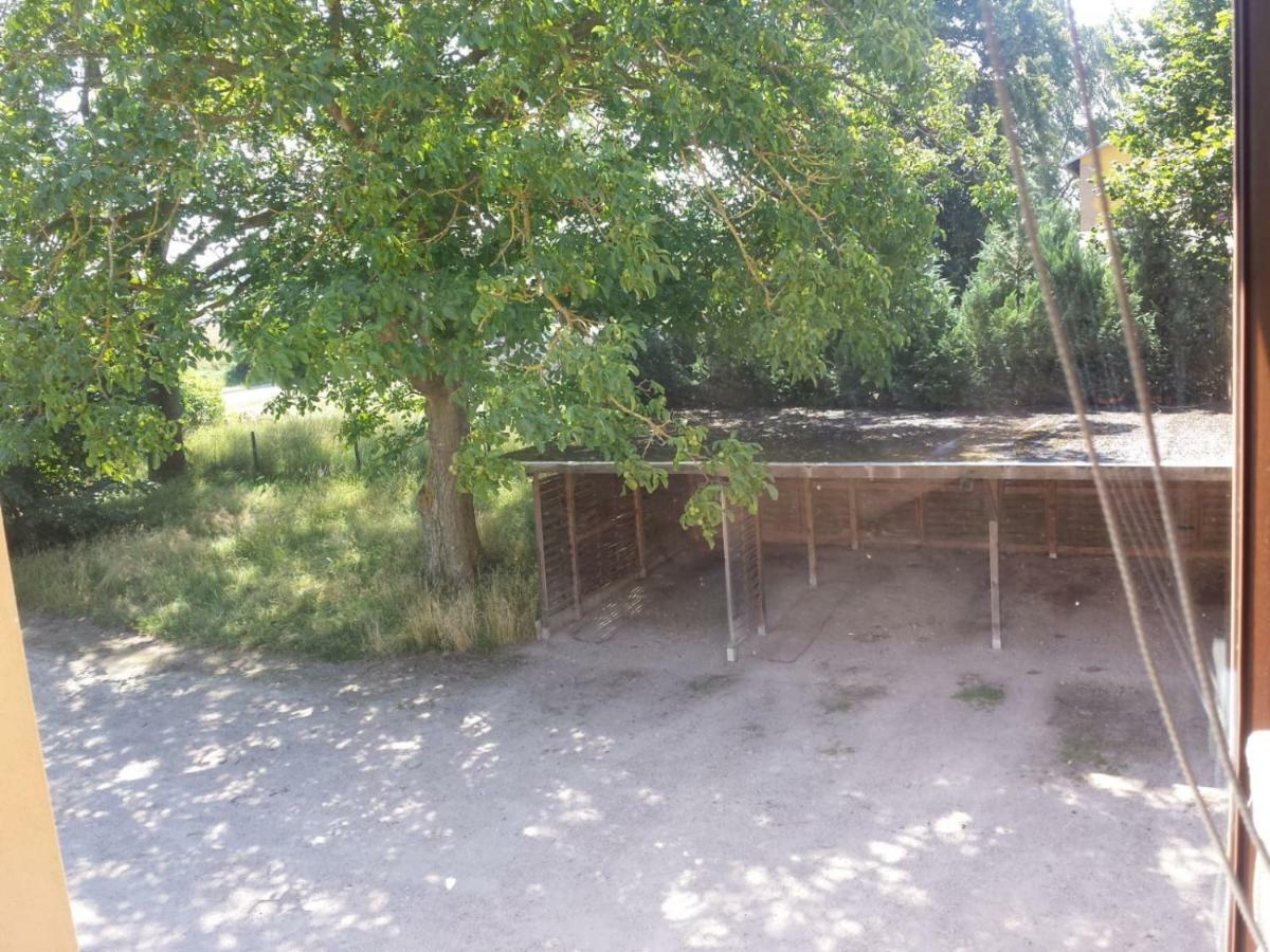 Lodmannshagen Ferienwohnungen "Weitblick" Und "Schwalbennest" מראה חיצוני תמונה